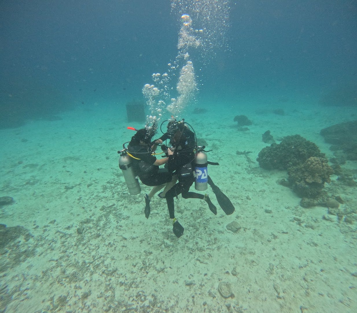 Aussie Divers Phuket photo 3