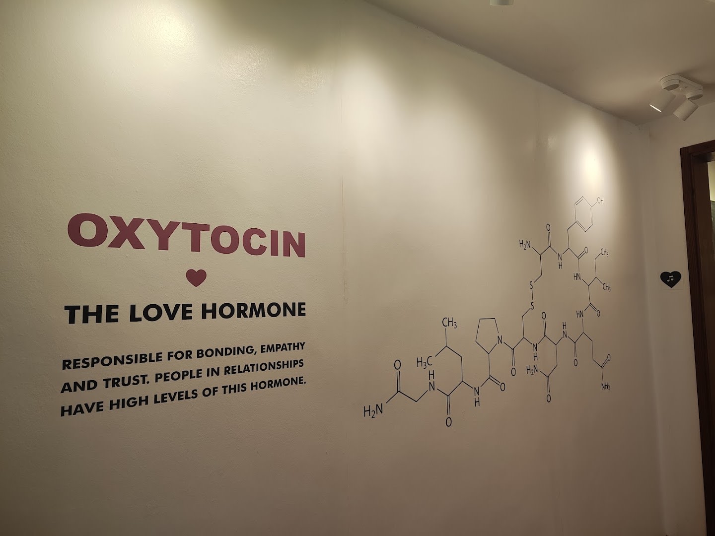 Love Stories Museum photo 4