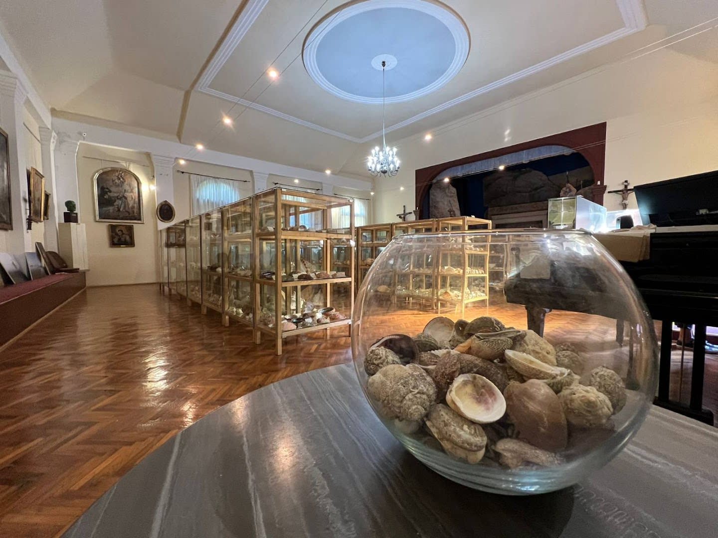 Shell Museum Cavtat photo 3