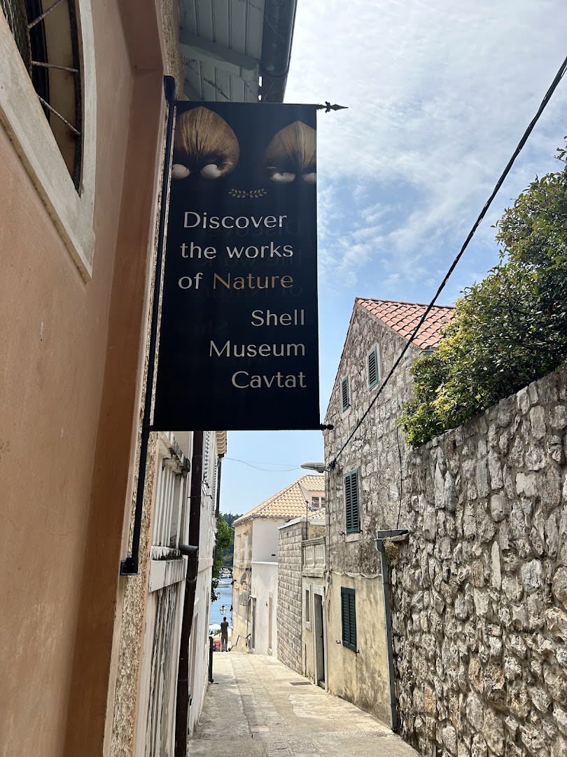 Shell Museum Cavtat photo 4