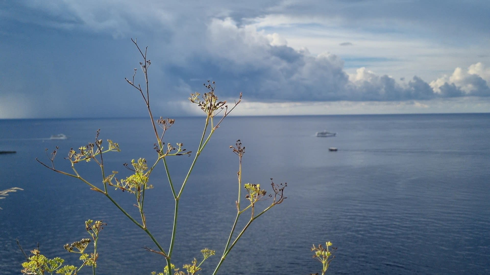 Mysterious Game of Dubrovnik photo 1