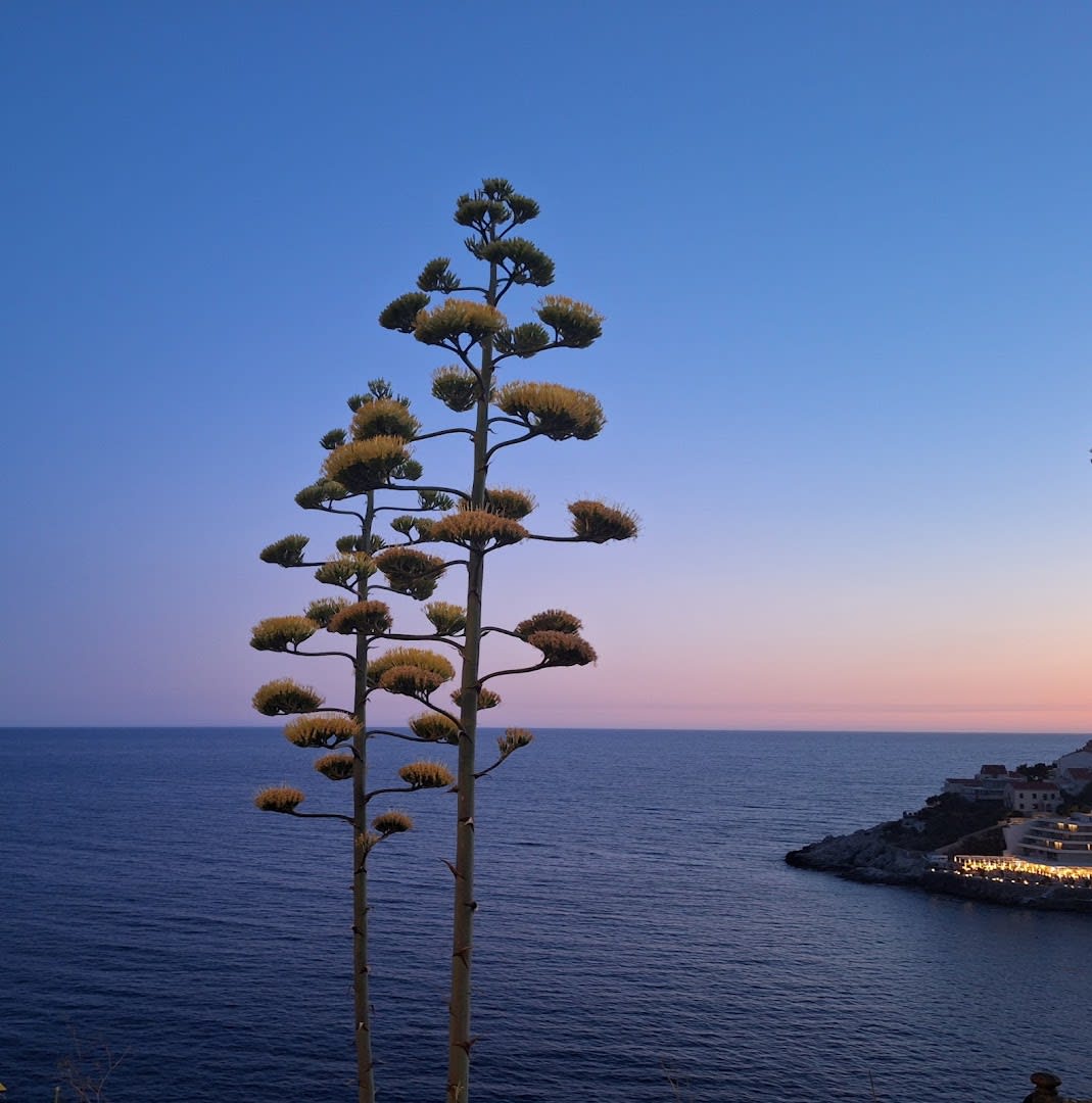 Mysterious Game of Dubrovnik photo 2