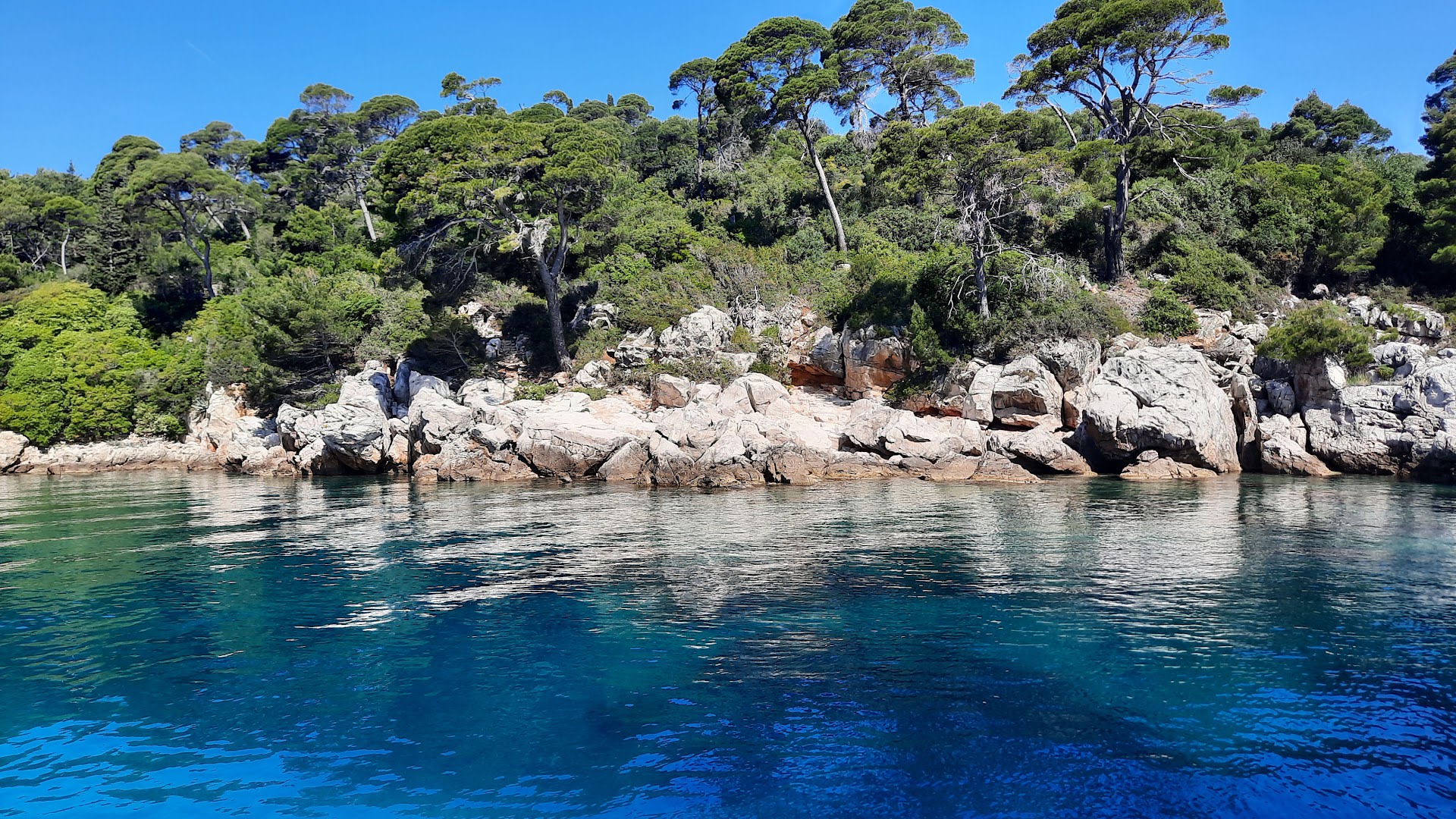 Lokrum Island Ferry photo 3