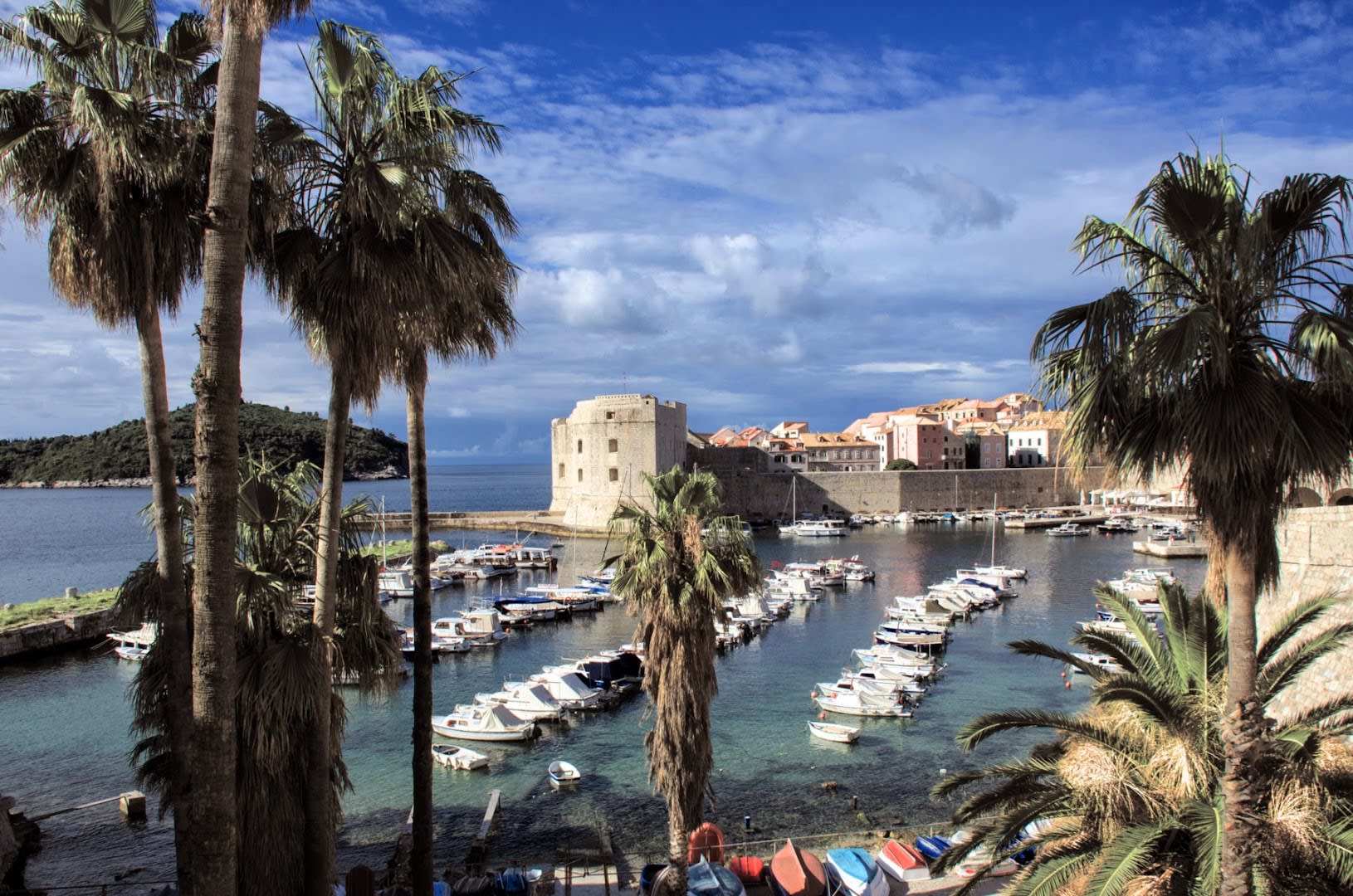 Rose of Dubrovnik photo 3