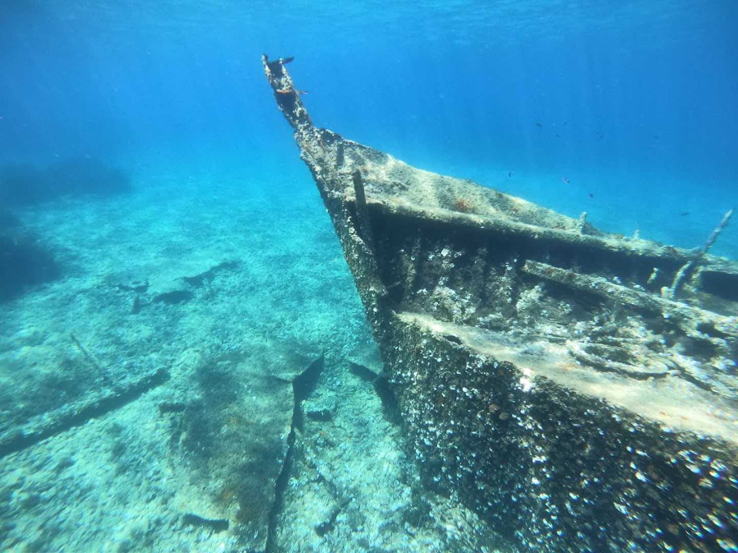 Zadar Boat Rental ZBR photo 4