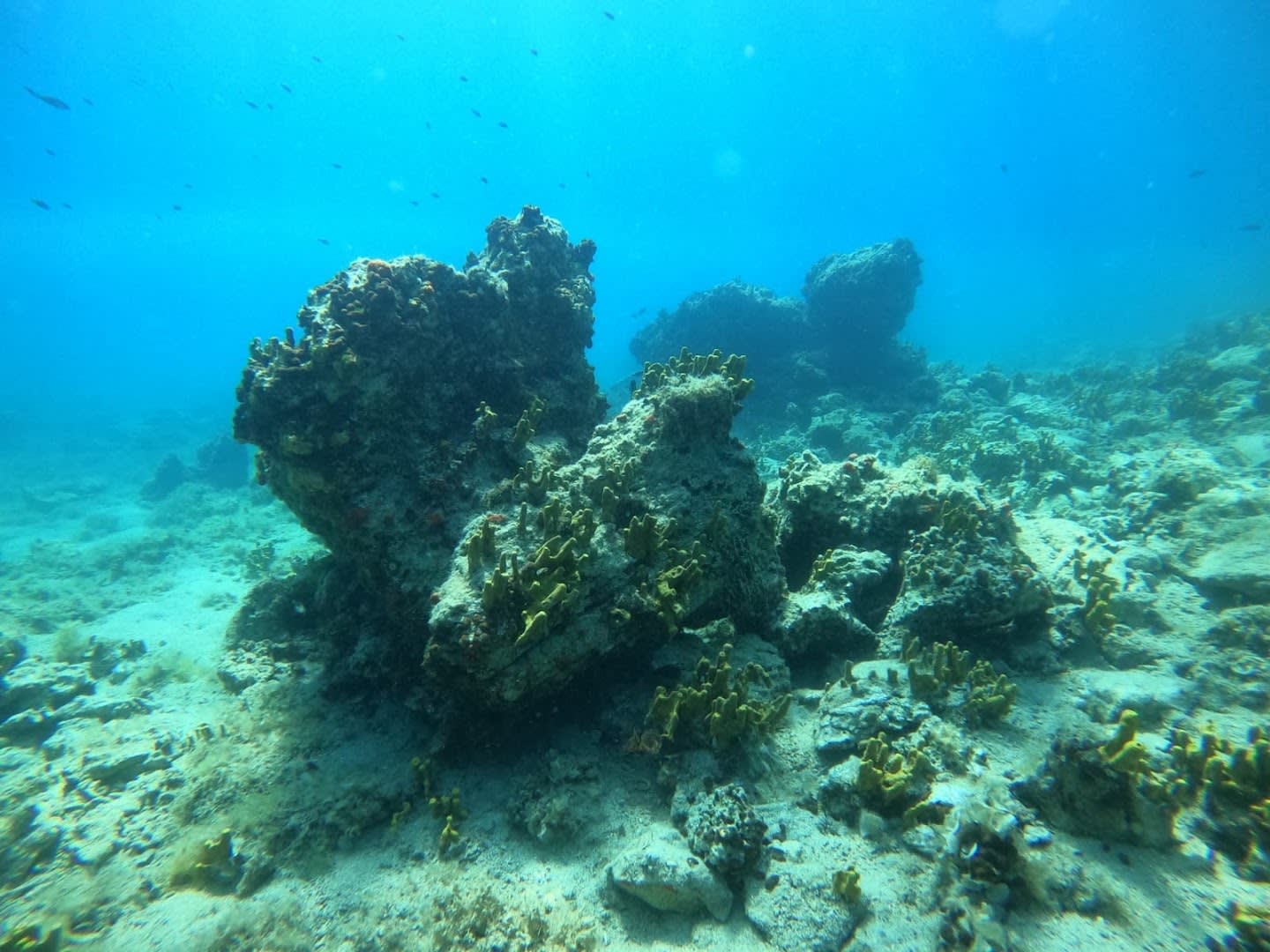 Blue Sea - Scuba Diving Center Zadar photo 3