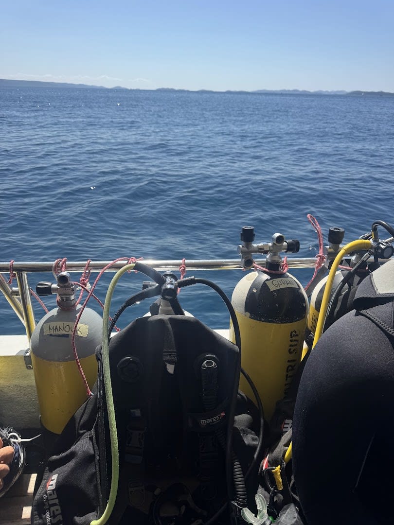 Golden Harbor Diving photo 3
