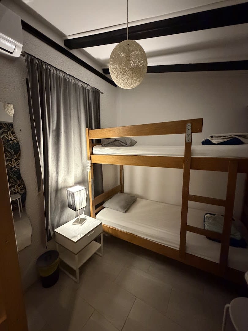 Lazy Monkey Hostel photo 1