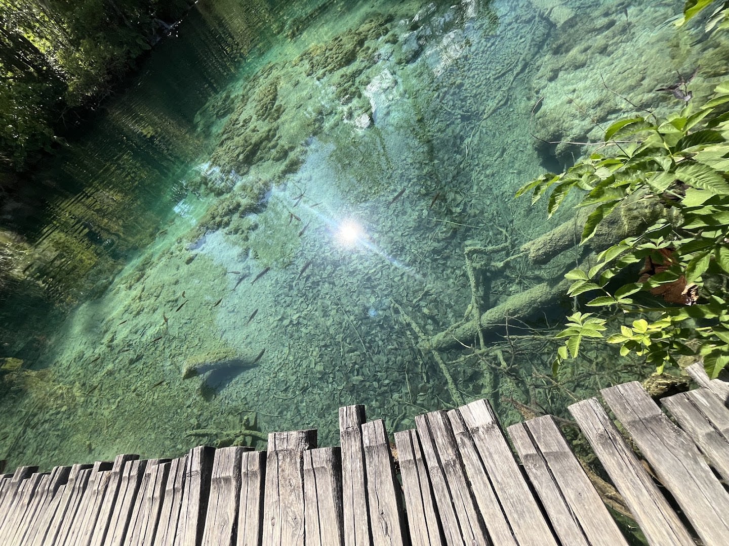 Zadar Adventures photo 3