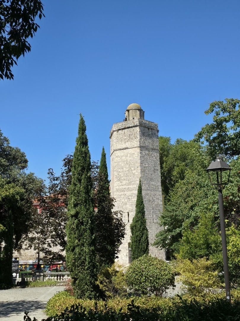 Captain's Tower photo 4