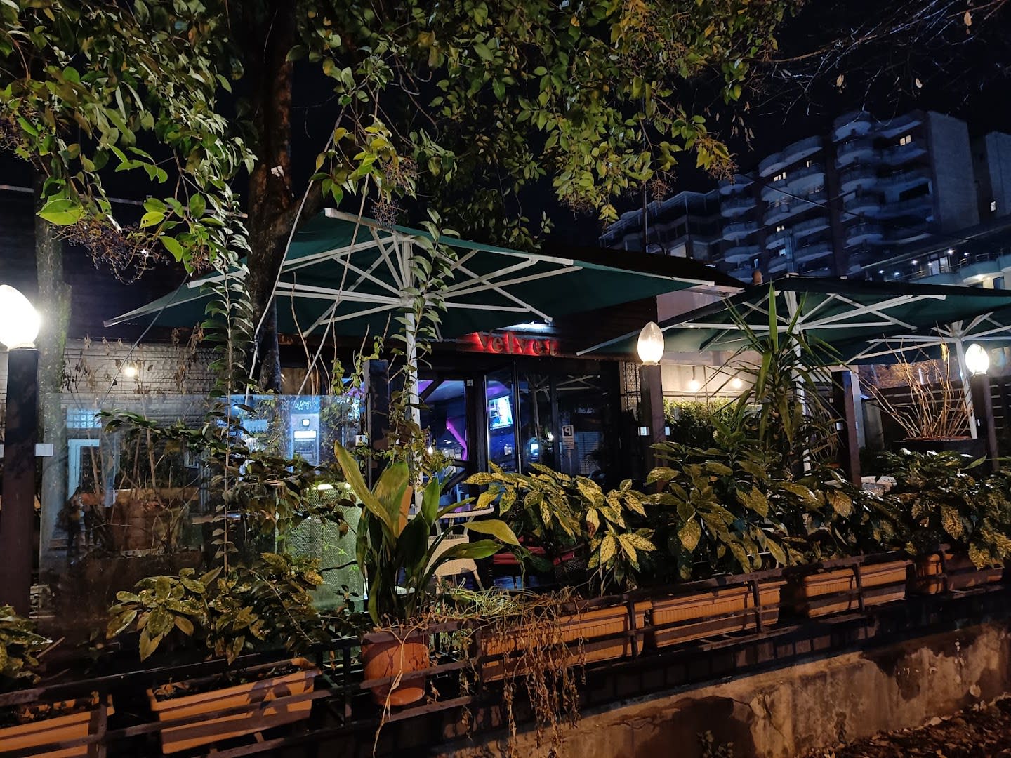 The Velvet Bar photo 3