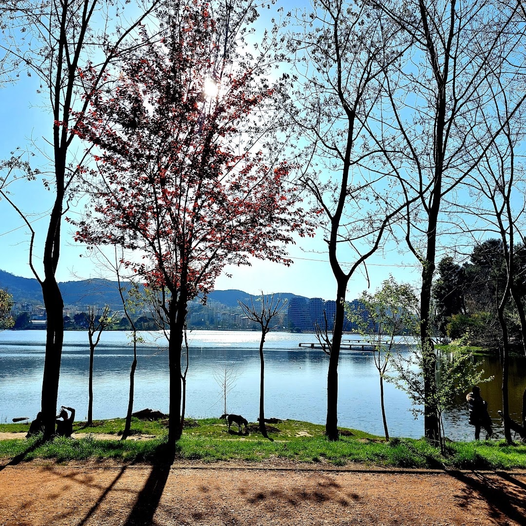 Grand Park of Tirana photo 2