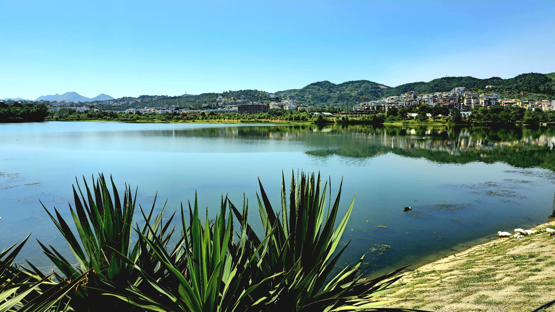 Grand Park of Tirana photo 3