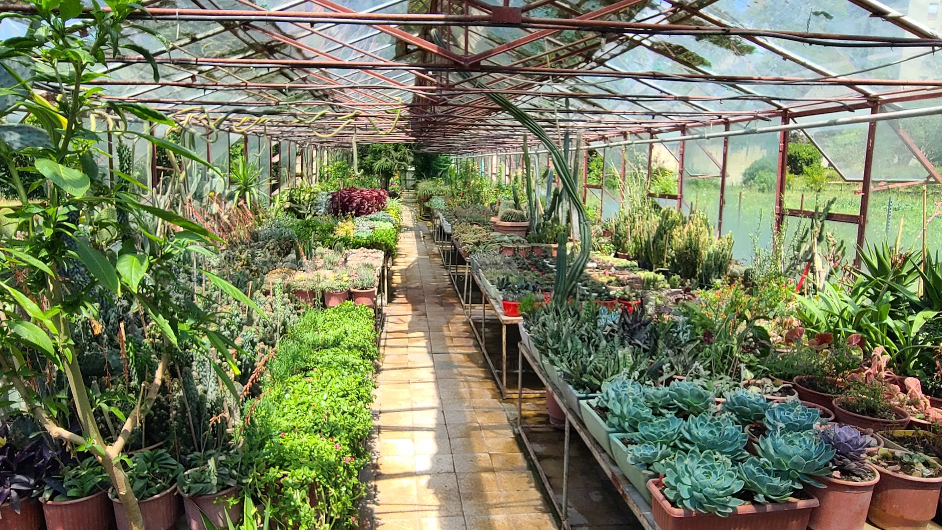 Botanical Park of Tirana photo 2