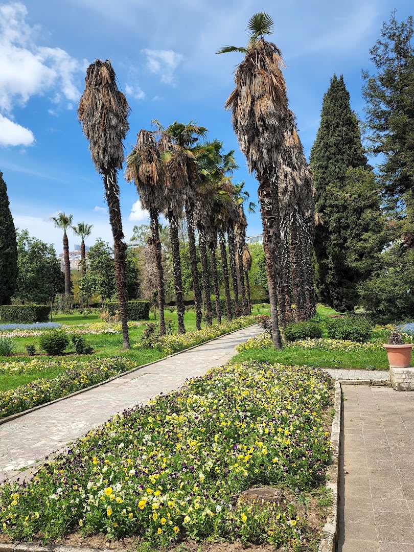 Botanical Park of Tirana photo 3