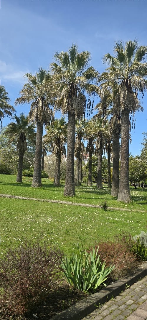 Botanical Park of Tirana photo 4