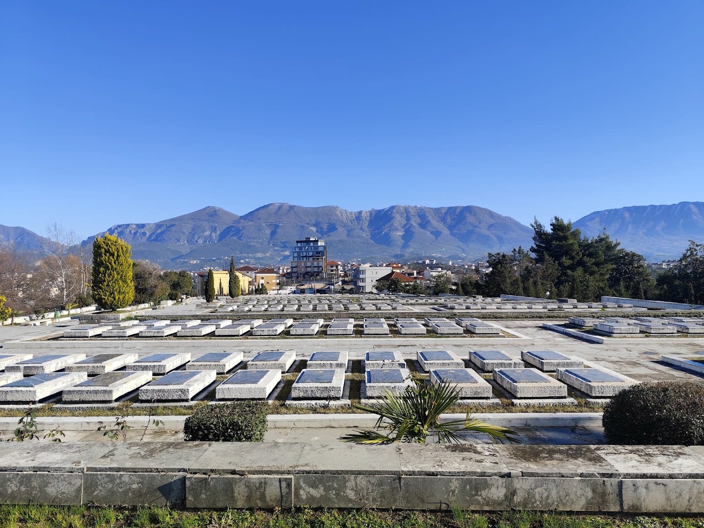 Mother Albania photo 2