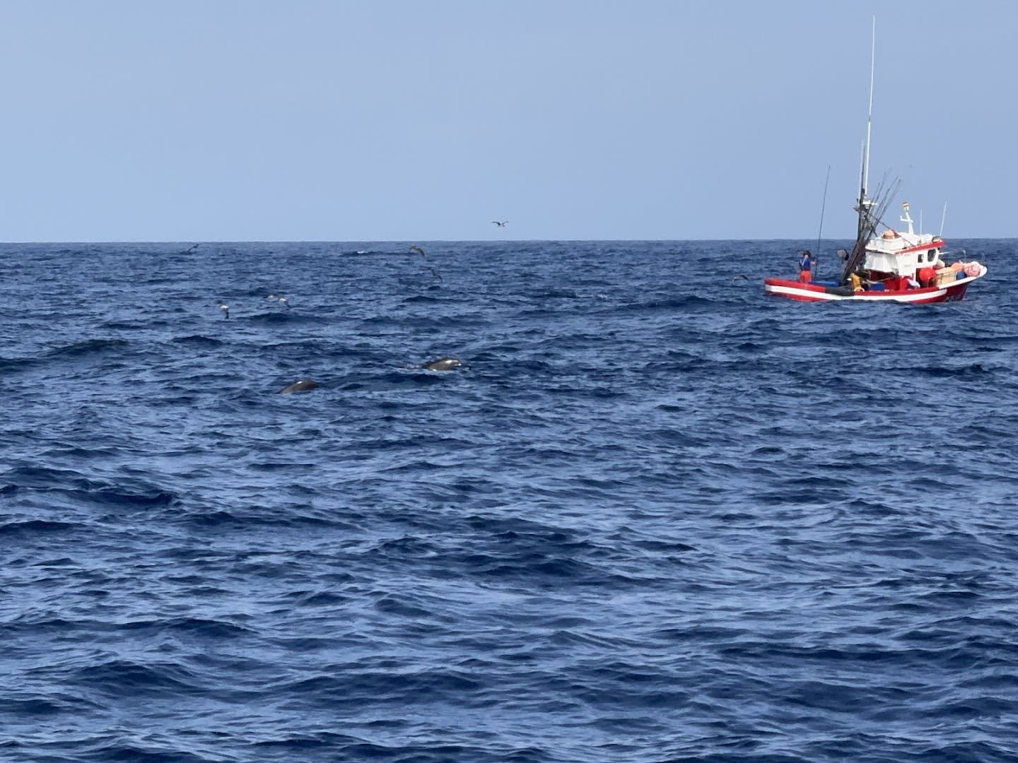Maco Yacht photo 3