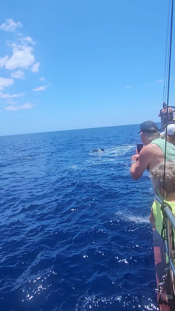 Barco Pirata Peter Pan Tenerife photo 1