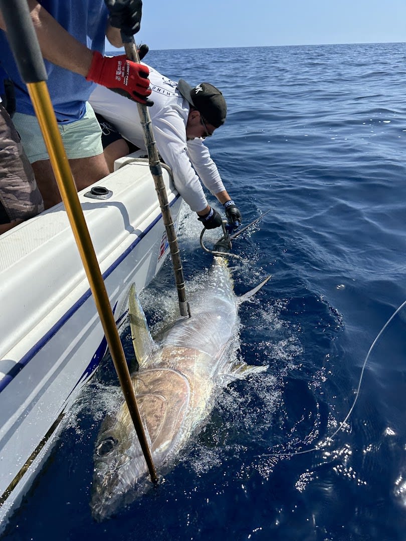 Gofio Tuna Fishing Tenerife photo 3