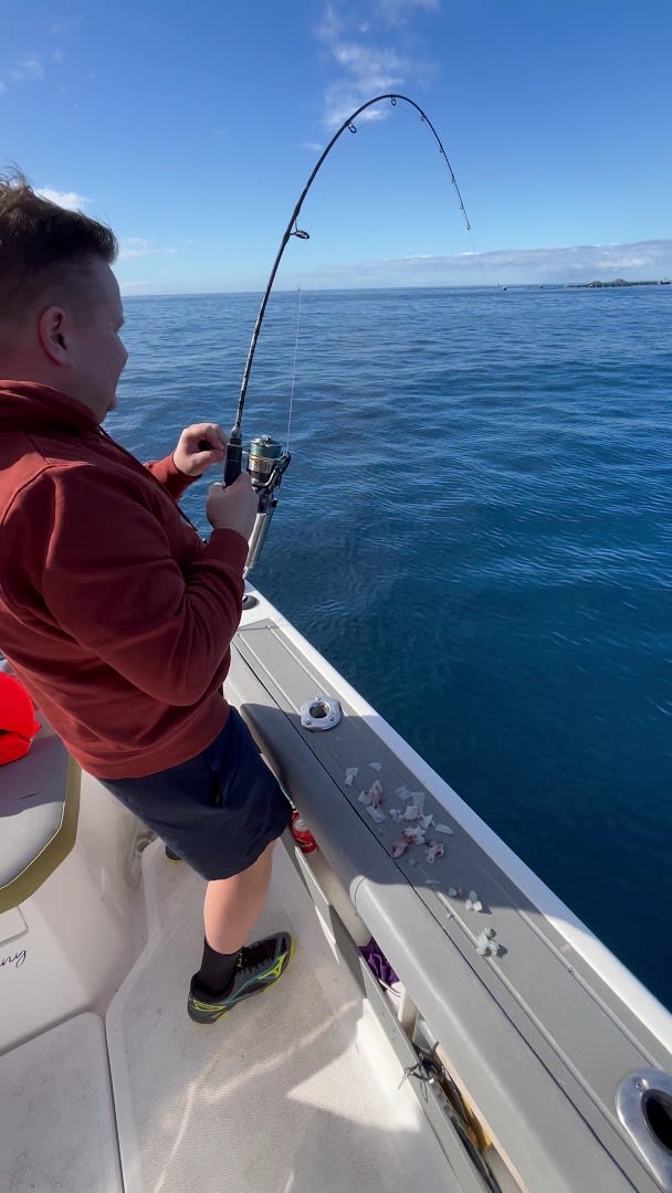 White Shark Fishing Company - Tenerife photo 1