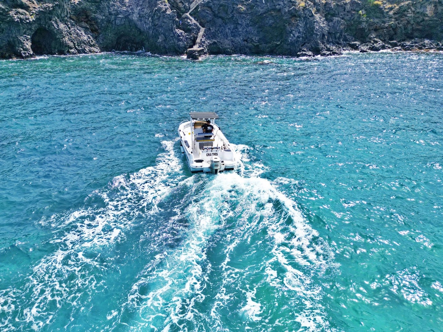 White Shark Fishing Company - Tenerife photo 3