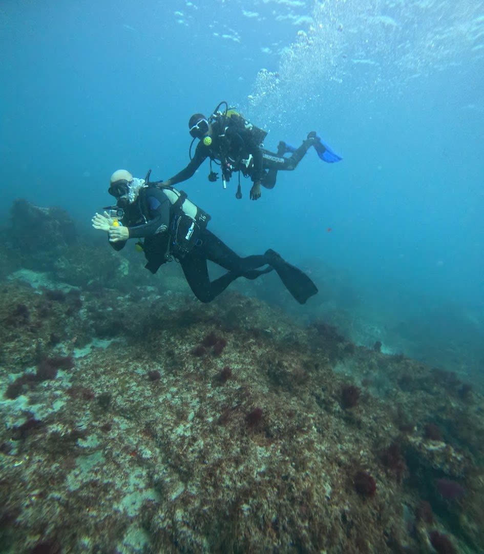 Dive Center Tenerife by WhatNext Adventures photo 2