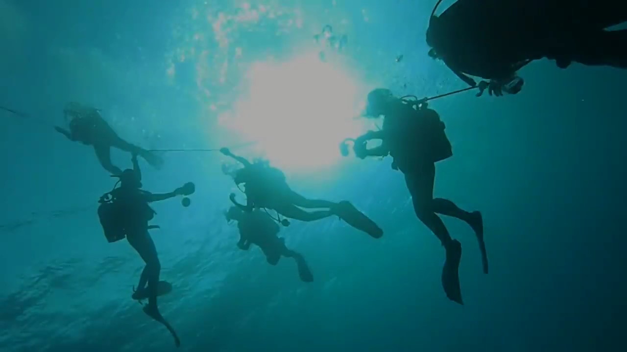 Deep Ocean Diver photo 1