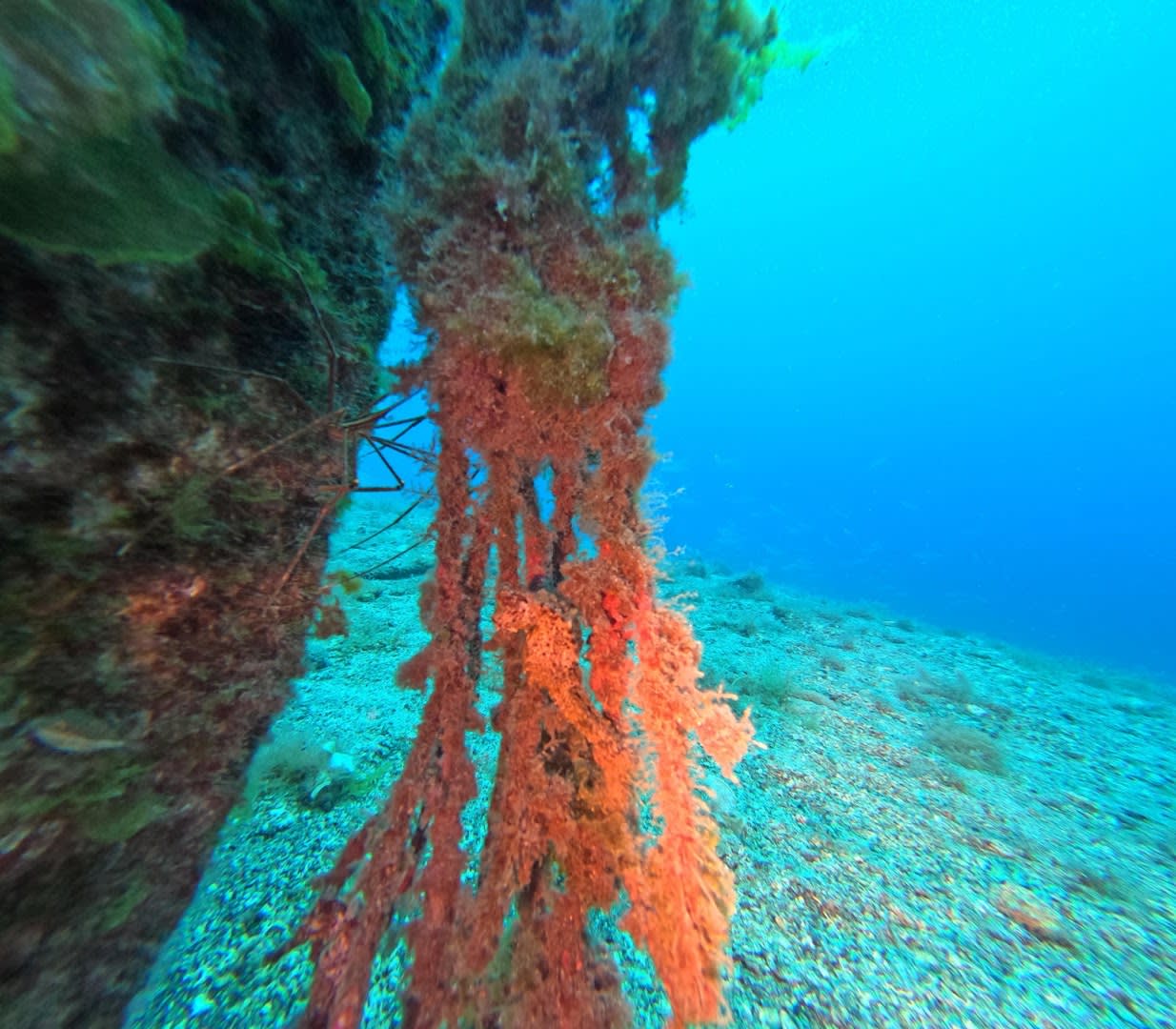 Deep Ocean Diver photo 3