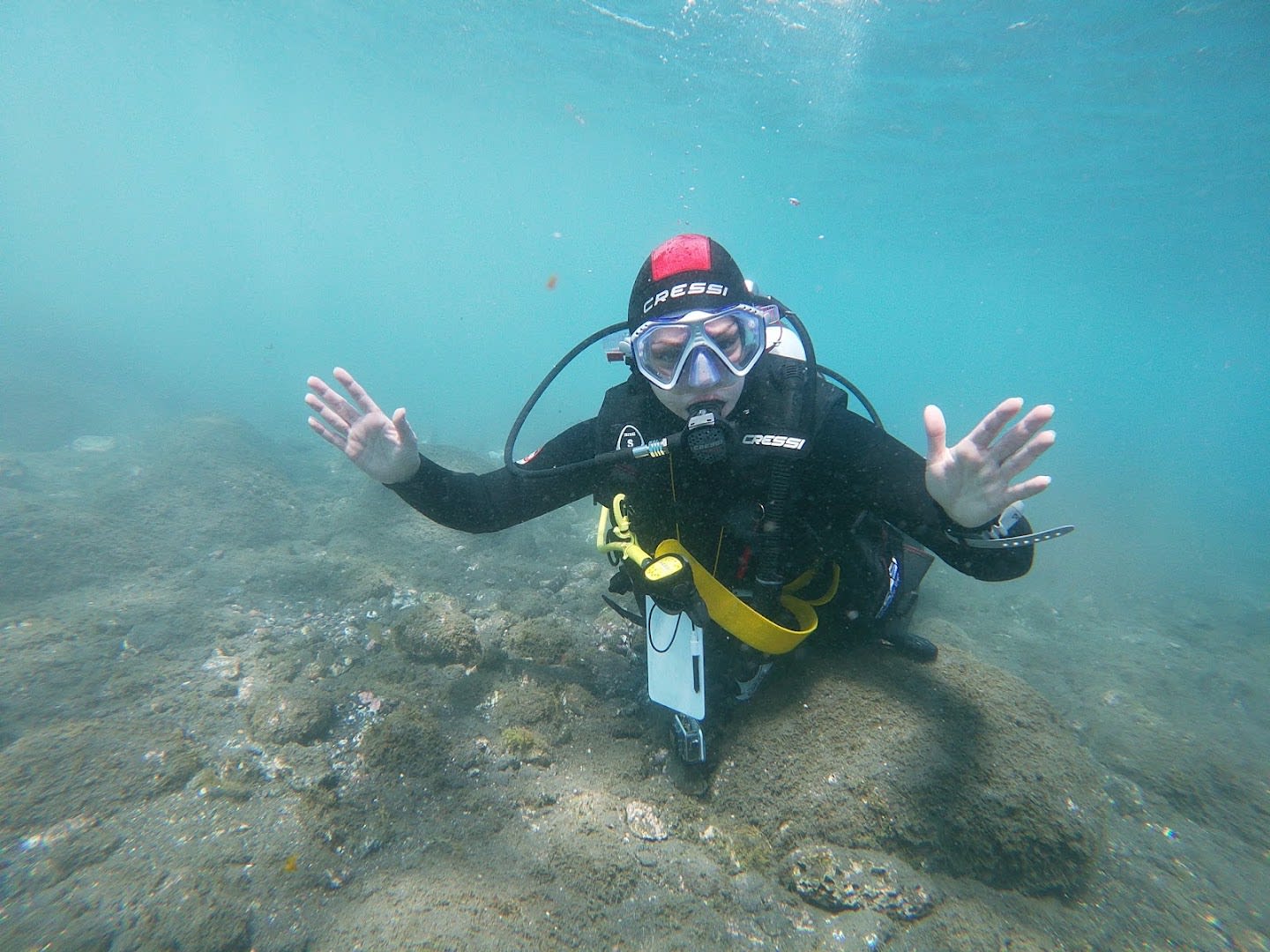 Scubafriends Tenerife photo 2