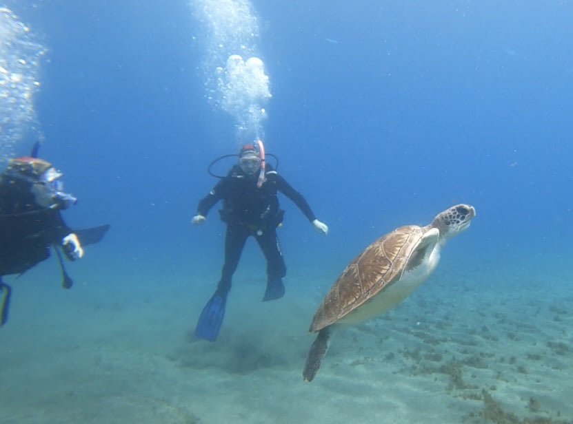 Scubafriends Tenerife photo 3