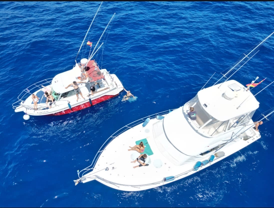 Moira Fishing Tenerife SL photo 4