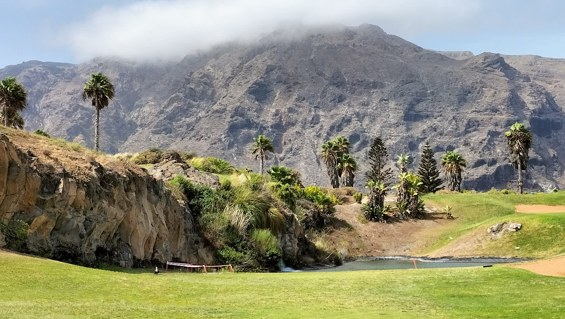 Buenavista Golf photo 4