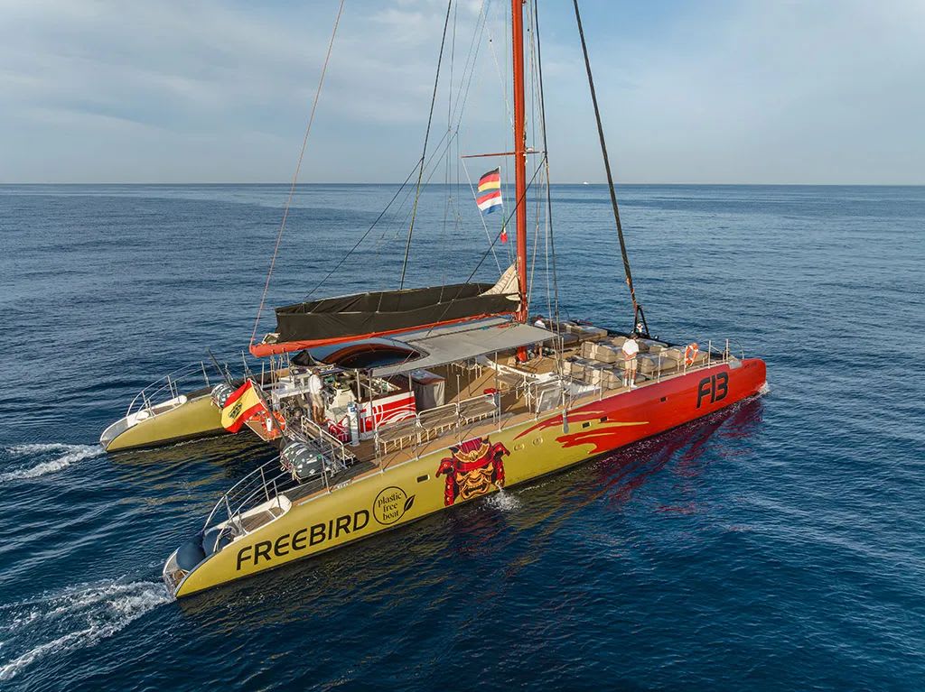 The Tenerife Channel Excursions photo 2