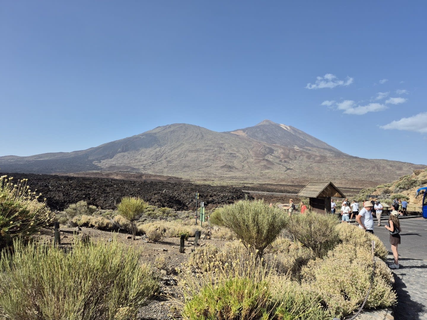 The Tenerife Channel Excursions photo 3