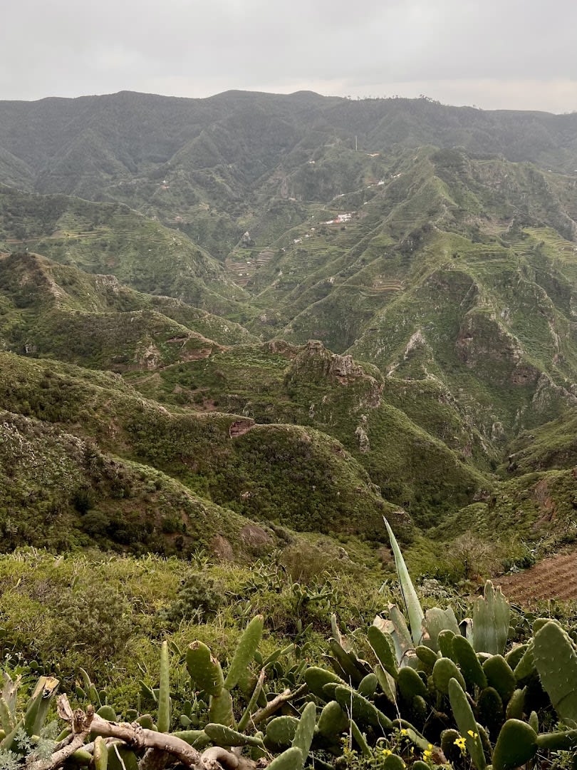 Tenerife Host photo 1