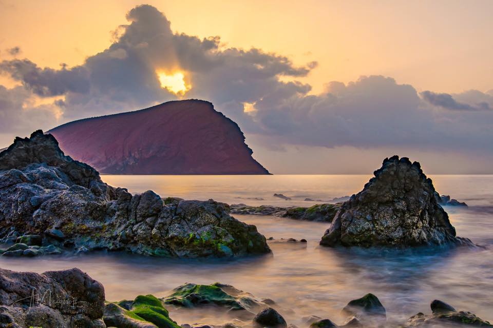 Tenerife Host photo 4