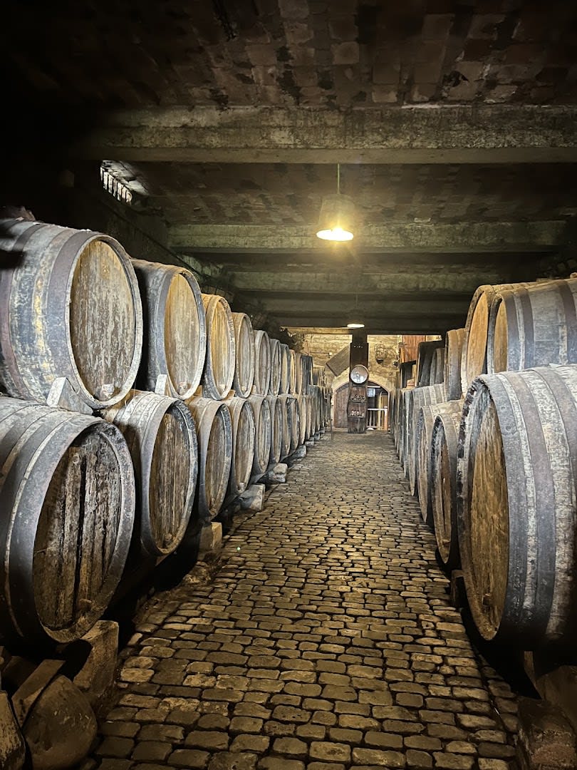 Bodegas Monje photo 3