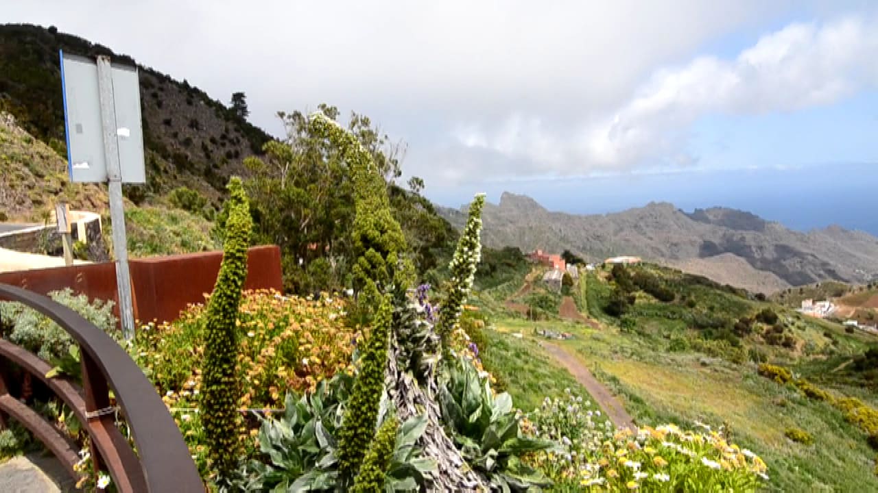 Mirador De Jardina photo 1