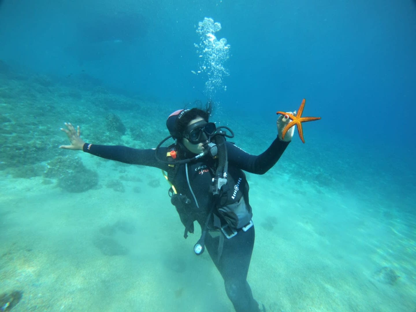 Venus Diving Center photo 2