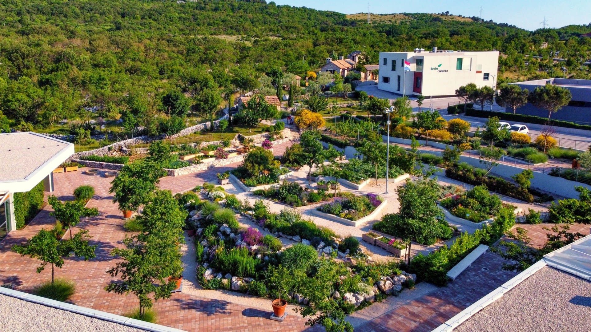 Dalmatia Trips photo 4