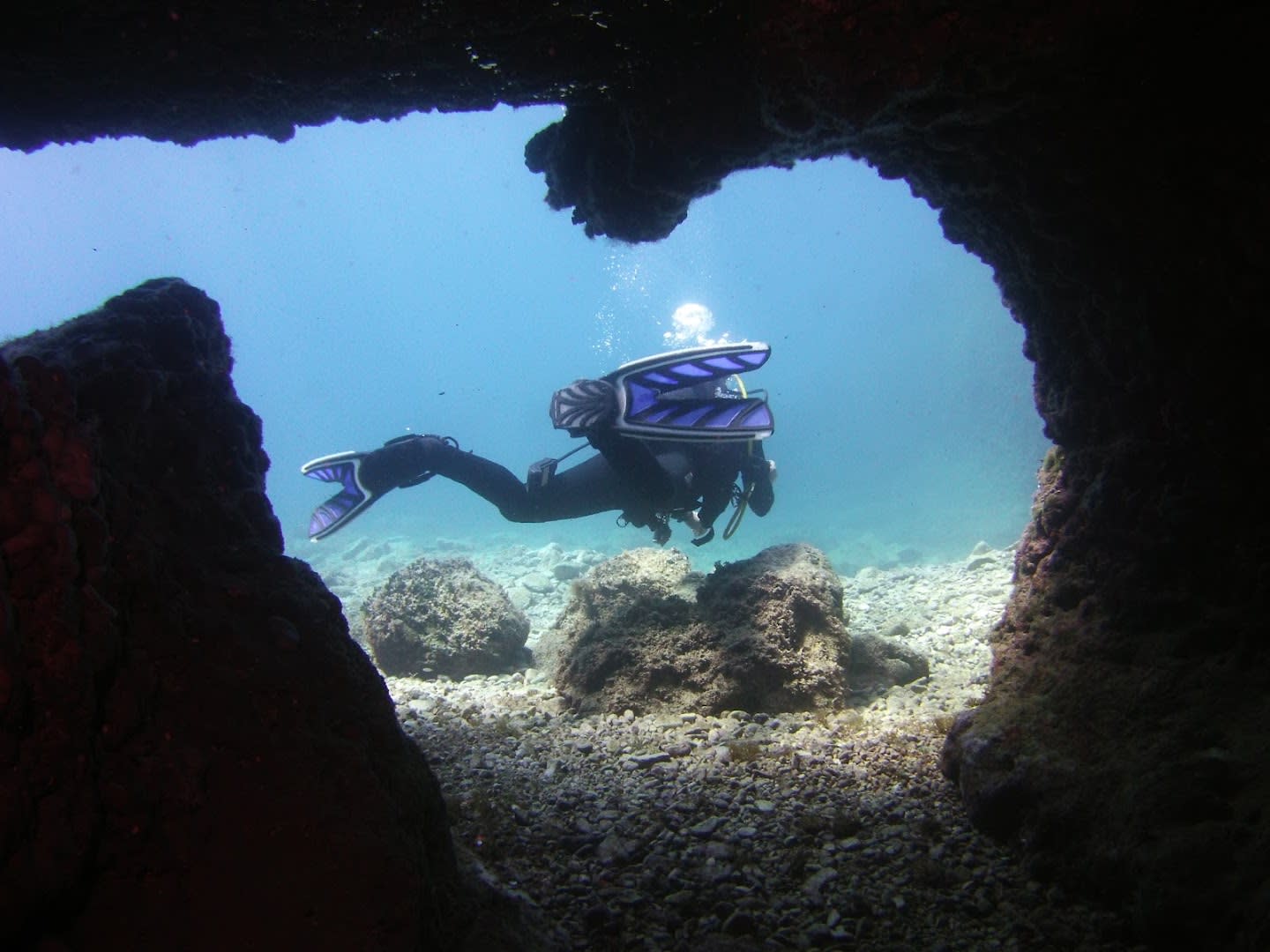 Diving Center Hippocampus photo 3