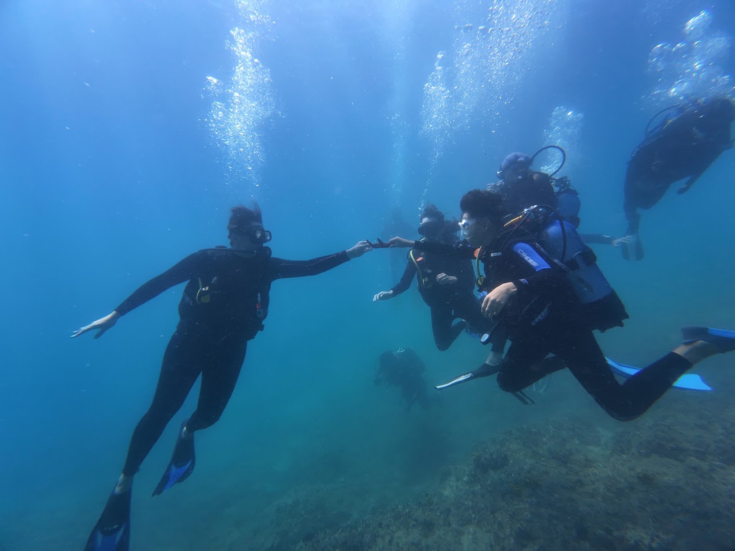 Orca Diving Centre photo 2