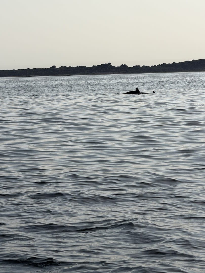 Rio Boat photo 2
