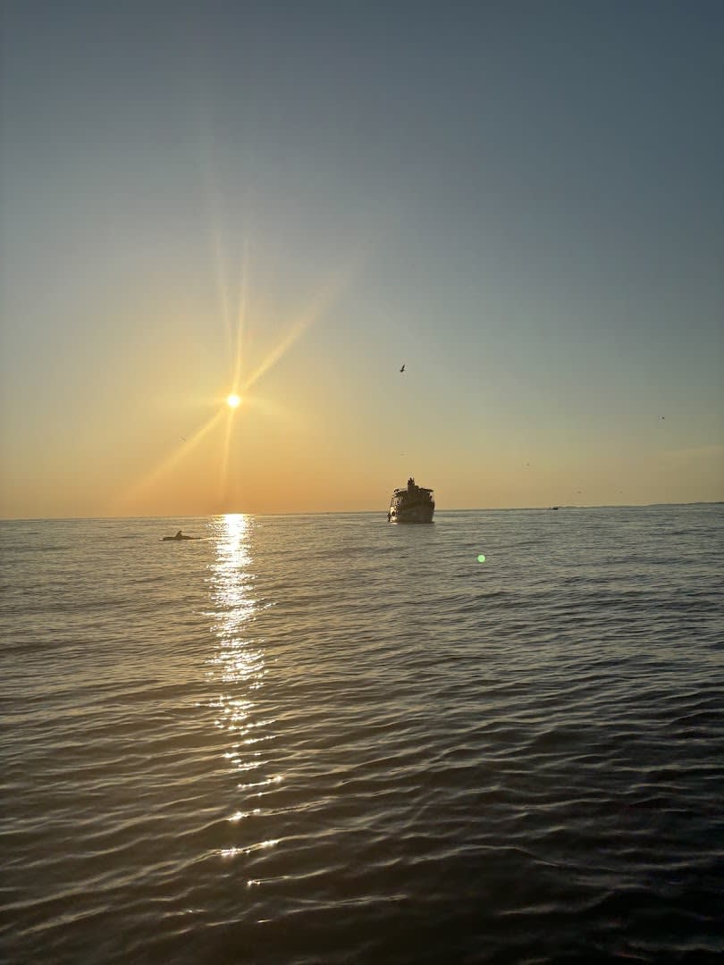 Koralj Boat photo 2