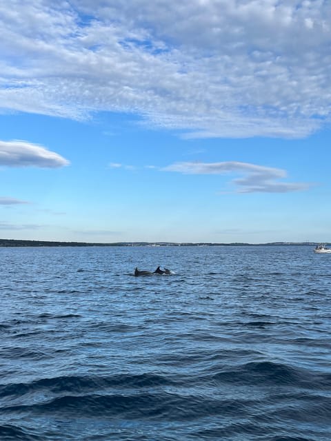GAS Boat photo 2