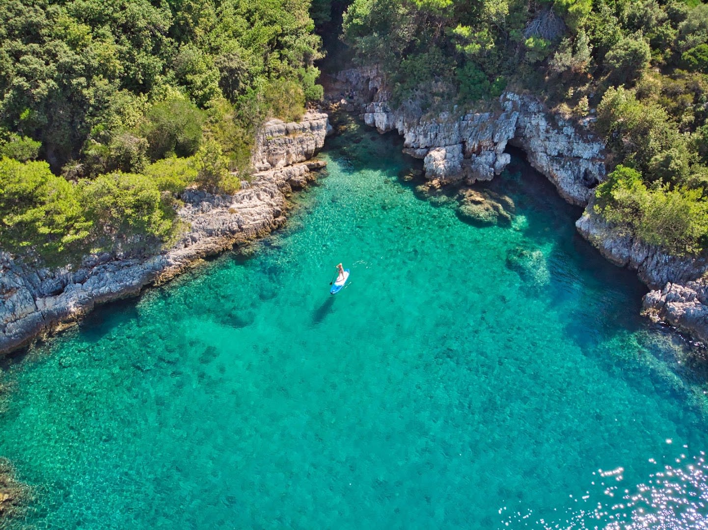 Andromeda Boat Rent Pula photo 2