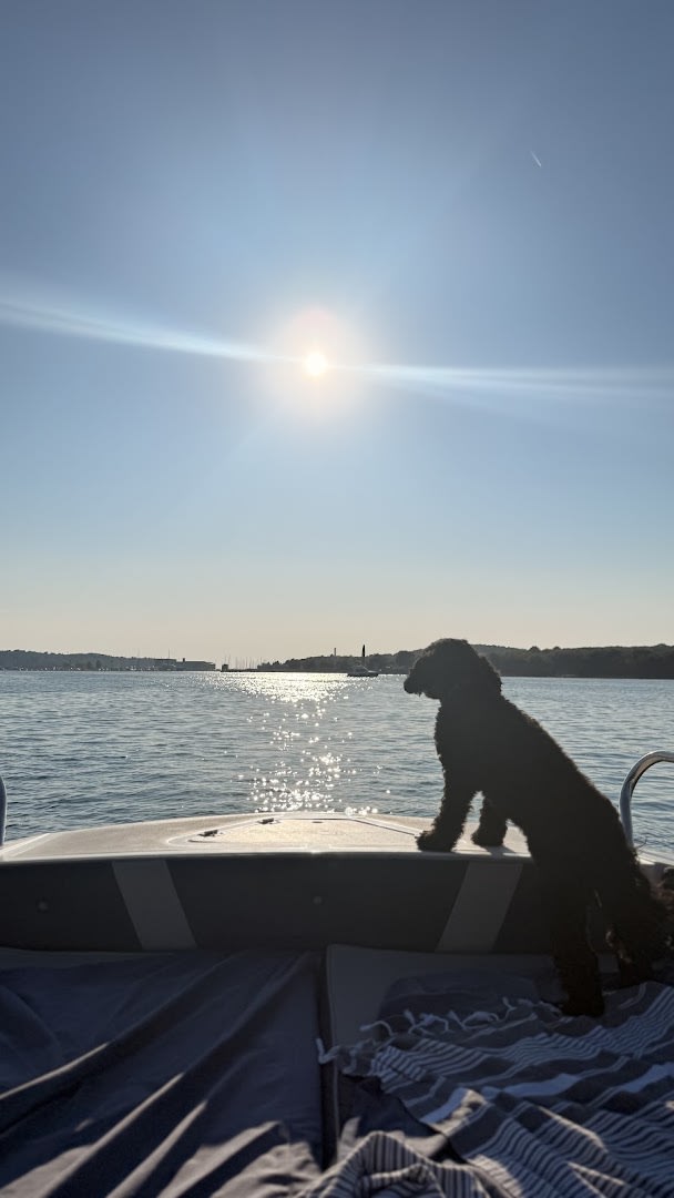 Andromeda Boat Rent Pula photo 4