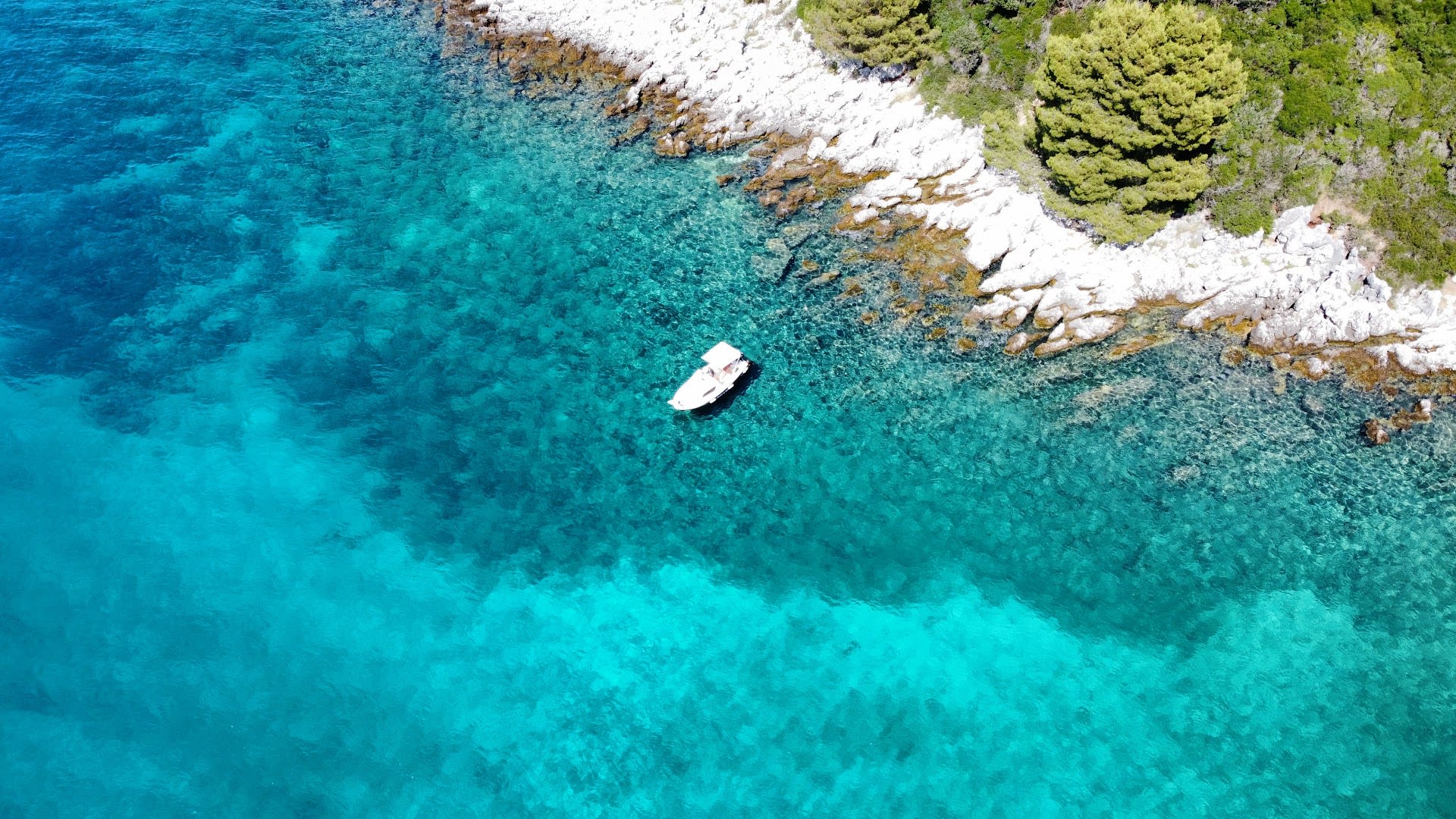 Gurges Rent a Boat photo 3