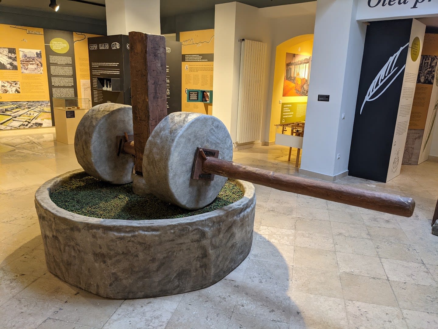 House of Istrian Olive Oil photo 4